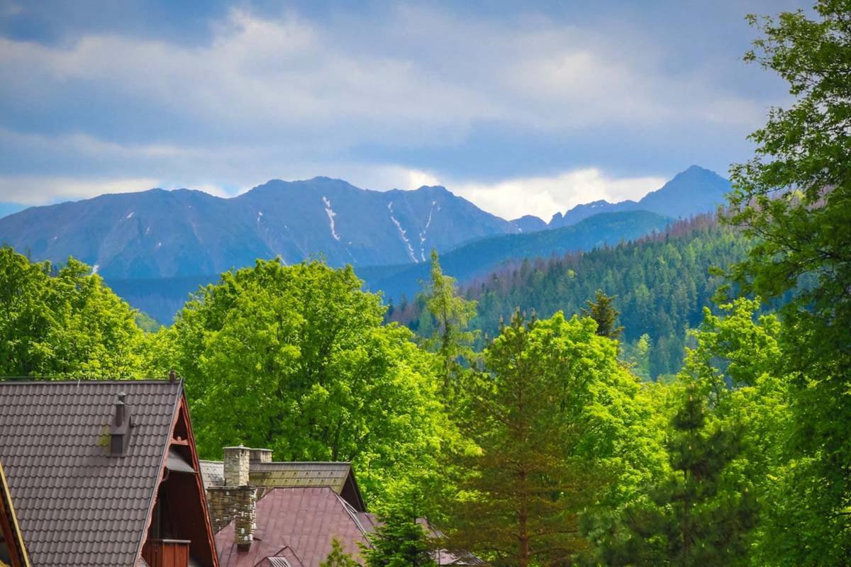 Pensjonat Arnika Zakopane Exterior photo